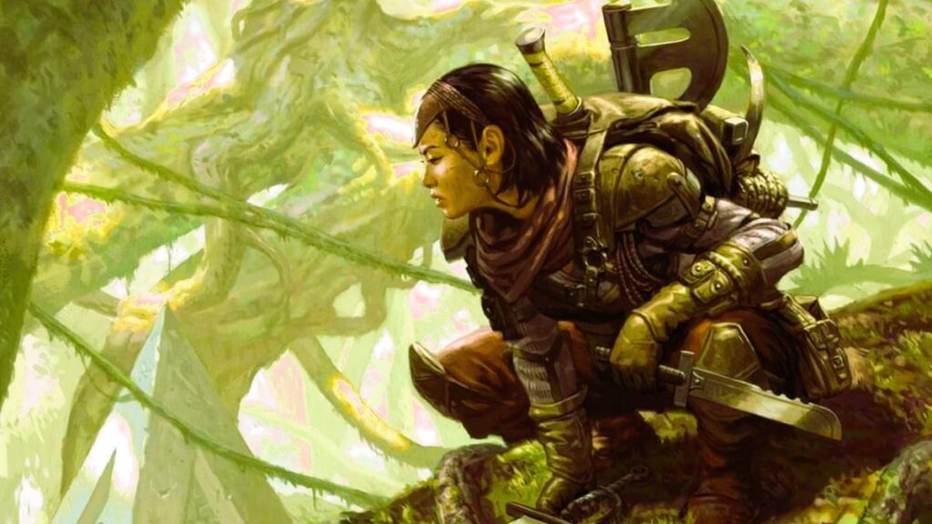 DnD Ranger class guide